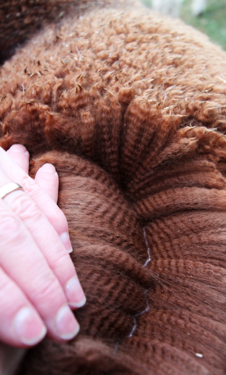 Fiberutstilling 2025